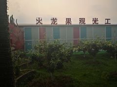 -米果果小镇