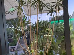 -gaga(深圳南山益田假日广场店)