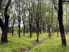 -嘉北郊野公园