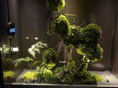 -唐宫足道·SPA·影院会馆(木渎店)