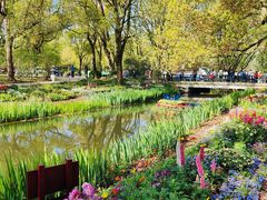 -上海共青森林公园