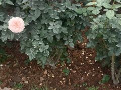 -人民公园(罗湖区)