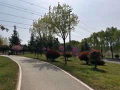 -洨河生态公园