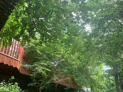 -呀路古热带植物园