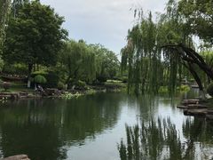 -月湖公园