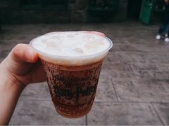 -哈利波特魔法世界