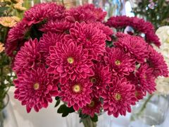 -花屿鲜花(淡水店)