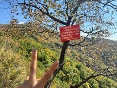 -灵山