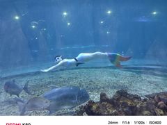 -华夏文旅海洋公园