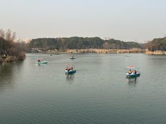 -昆山城市生态森林公园