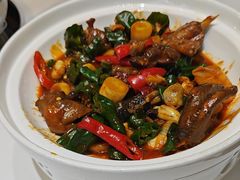 -大锅强·蒸海鲜青岛菜(吾悦广场店)