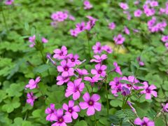 -白塘生态植物园