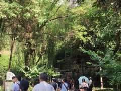 -西安曲江寒窑遗址公园