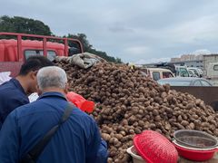 -李村大集