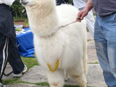 -东海半边山旅游度假区