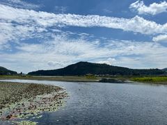 -腾冲北海湿地