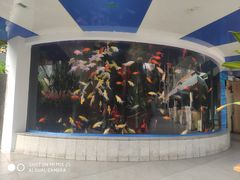 -北国之春国宴(乌兰察布店)