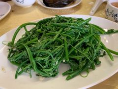蒜蓉炒佛手瓜叶-粤友餐厅