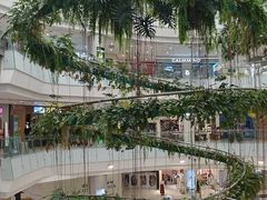 -凯德广场(学府店)