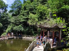 -王顺山国家森林公园