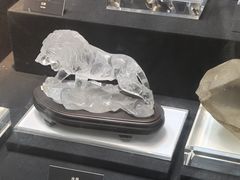 -烟台自然博物馆