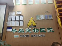 -半岛宠物医院24小时·内窥镜·牙科·碎石中心(府城大道店)