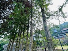 -九华山风景区