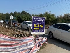 -桤木河湿地公园