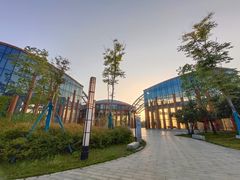 -洋湖国家湿地公园
