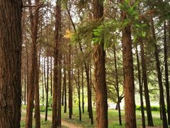 -元大都城垣遗址公园