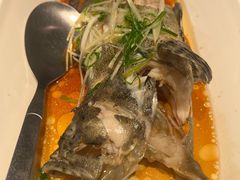 清蒸老虎斑-徐记海鲜(曲江南湖店)