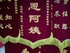 -瑞鹏宠物医院华南总院·夜诊·心脏科·骨科