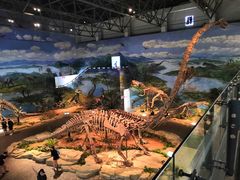 -自贡恐龙博物馆