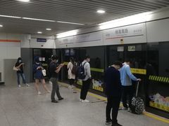 -杨高南路(地铁站)