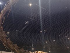 -衢州市博物馆