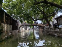 -乌镇东栅景区