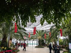 -北京植物园-展览温室