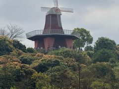 -东莞植物园