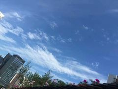 -瓦库茶馆17号(海汇港店)