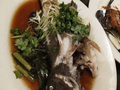 -食为先(Shark Fin)