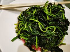 -席家花园(巨鹿花园店)
