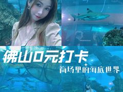 -乐从天佑城星光广场