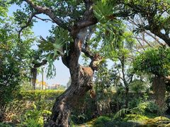 -Chom Cafe and Restaurant