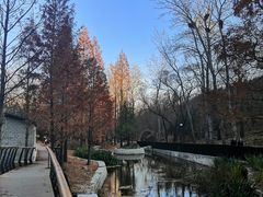 -白水寺森林公园