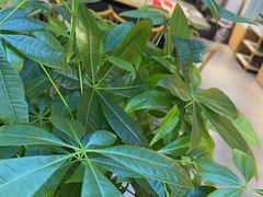 -棒小伙·齐齐哈尔烤肉(龙茗路店)