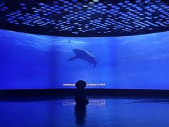 -同济大学四平路校区深海探索馆
