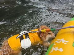 -安吉龙王山峡谷漂流