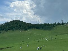 -关山草原