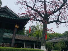 -南海神庙