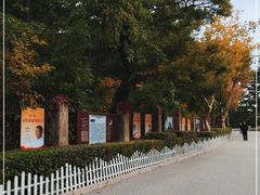 -青岛德国总督楼旧址博物馆